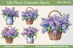 Lilac Flower Watercolor Cliparts PNG Product Image 1