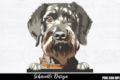 Schnoodle Sublimation, Schnoodle terrier PNG Product Image 1