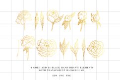 Peony svg, Hand drawn peony flowers PNG, Flowers SVG Product Image 3