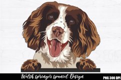Welsh springer spaniel Sublimation Product Image 1