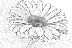 Gerbera Flower Background Wallpaper Product Image 1