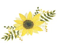 Watercolor Sunflower clipart Product Image 5