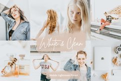 Blogger Collection Lightroom Mobile &amp; Desktop Preset Product Image 2