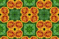 12 abstract Seamless colorful FLOWER patterns pack. Product Image 13