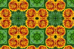 12 abstract Seamless colorful FLOWER patterns pack. Product Image 13