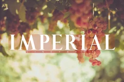  The Queen - A Bold Royal Font Product Image 4