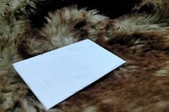 Mockup concept with modern feather background Product Image 1
