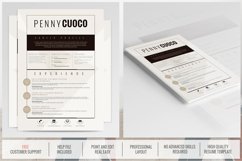 Resume Template Alcyone Product Image 4
