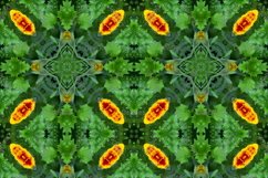 12 abstract Seamless colorful FLOWER patterns pack. Product Image 6