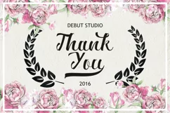 Ardina Script - Free Font of The Week Product Image 5