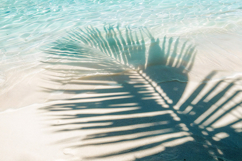 Paradise Tropical Beach backgrounds Product Image 3