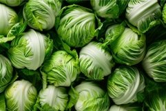 Fresh green cabbage heads background Product Image 1