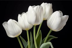 Elegant white tulips on black background Product Image 1
