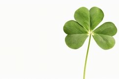 Four-leaf Clover Background Wallpaper Product Image 1