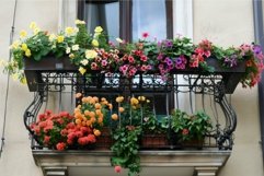 Blooming balcony bringing joy to city life Product Image 1
