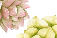 Watercolor succulent clipart Product Image 3
