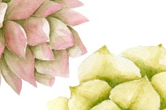 Watercolor succulent clipart Product Image 3