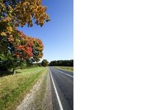 roadside road in autumn Product Image 1