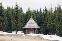 Old abandoned wooden house in the forest. Product Image 1