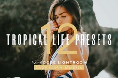 12 Tropical Life Presets for Lightroom Product Image 1