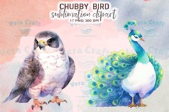 Chubby Bird Watercolor Sublimation Clipart Product Image 6