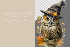 Halloween clipart, Owl clipart, Witch owl clipart, Product Image 2