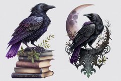 Raven clipart, Gothic clipart, Halloween clipart, Product Image 4