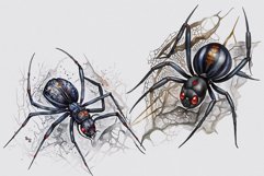 Spider clipart, Halloween sublimation, Goth clipart Product Image 5
