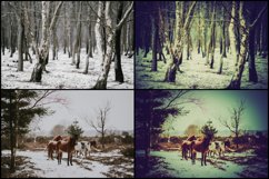 700 Christmas Lightroom Presets Product Image 5