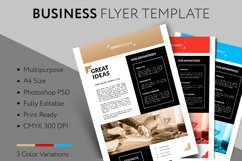 Business Flyer template Product Image 1