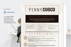 Resume Template Alcyone Product Image 1