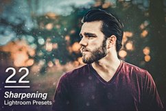 22 Sharpening Lightroom Presets Product Image 1