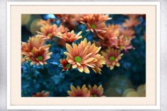 Nature photo, flower photo, floral photo, autumn photo Product Image 3