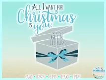 All I Want For Christmas Is You Seriously Get In The Box SVG Product Image 3