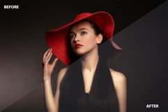 10 Exclusive Luminar 4 Portrait Looks Product Image 2