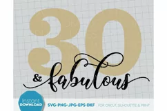 Birthday Shirt SVG, Happy Birthday gift SVG, Fabulous SVG Product Image 3