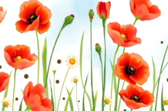 Red Poppy Field Background Product Image 1