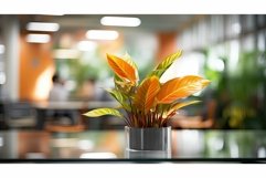 foliage blurred interior plant Product Image 1
