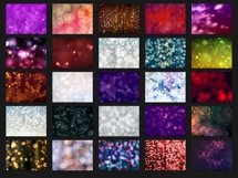 200 BOKEH DIGITAL PHOTOSHOP OVERLAYS, BACKDROPS, BACKGROUNDS Product Image 3