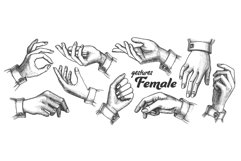 Collection of Different Gesture Set Vintage Vector Product Image 1