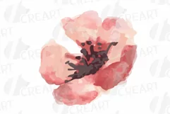 Burgundy and coral pink watercolor floral wedding clip art, Product Image 11