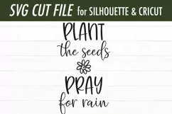 Plant The Seeds Pray For Rain | Garden SVG | Spring SVG Product Image 2