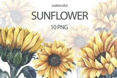 Watercolor Sunflowers Collection. Product Image 1