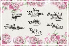 Web Font Ardina Script Product Image 2