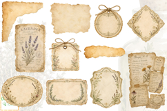 Botanical Apothecary Clipart, Vintage Junk Journal Ephemera Product Image 5