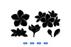 Hand Drawn Plumeria Floral SVG For Crafts Product Image 1