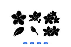 Hand Drawn Watercolor Floral Clipart For Invitations Product Image 1