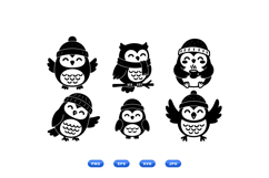 Hand Drawn Winter Owl SVG For Crafts Product Image 1