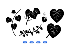 Hand Drawn Heart Leaf Vine Clipart Product Image 1