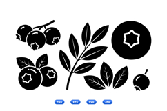 Hand Drawn Blueberry Botanical Clipart For Invitations Product Image 1